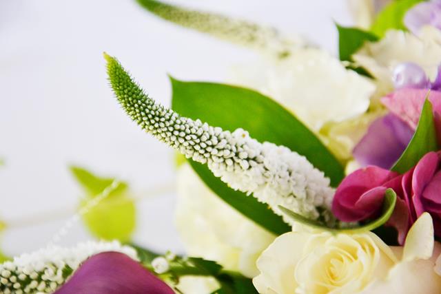 Studio Dekoracji Darłowo